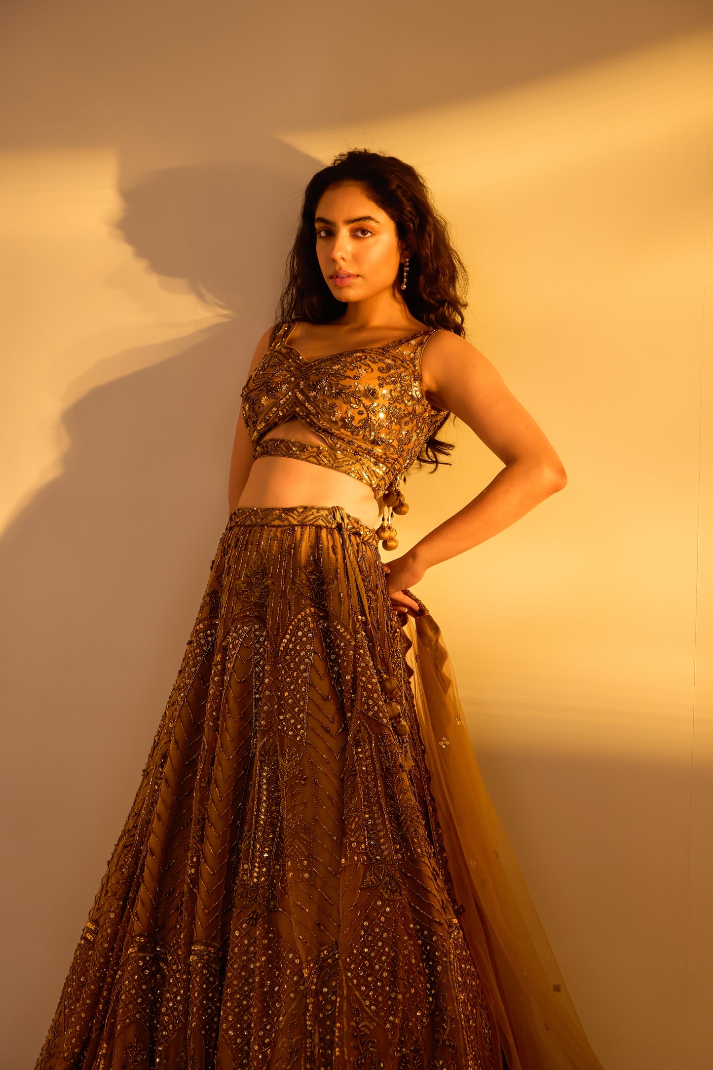 Embellished Lehenga set