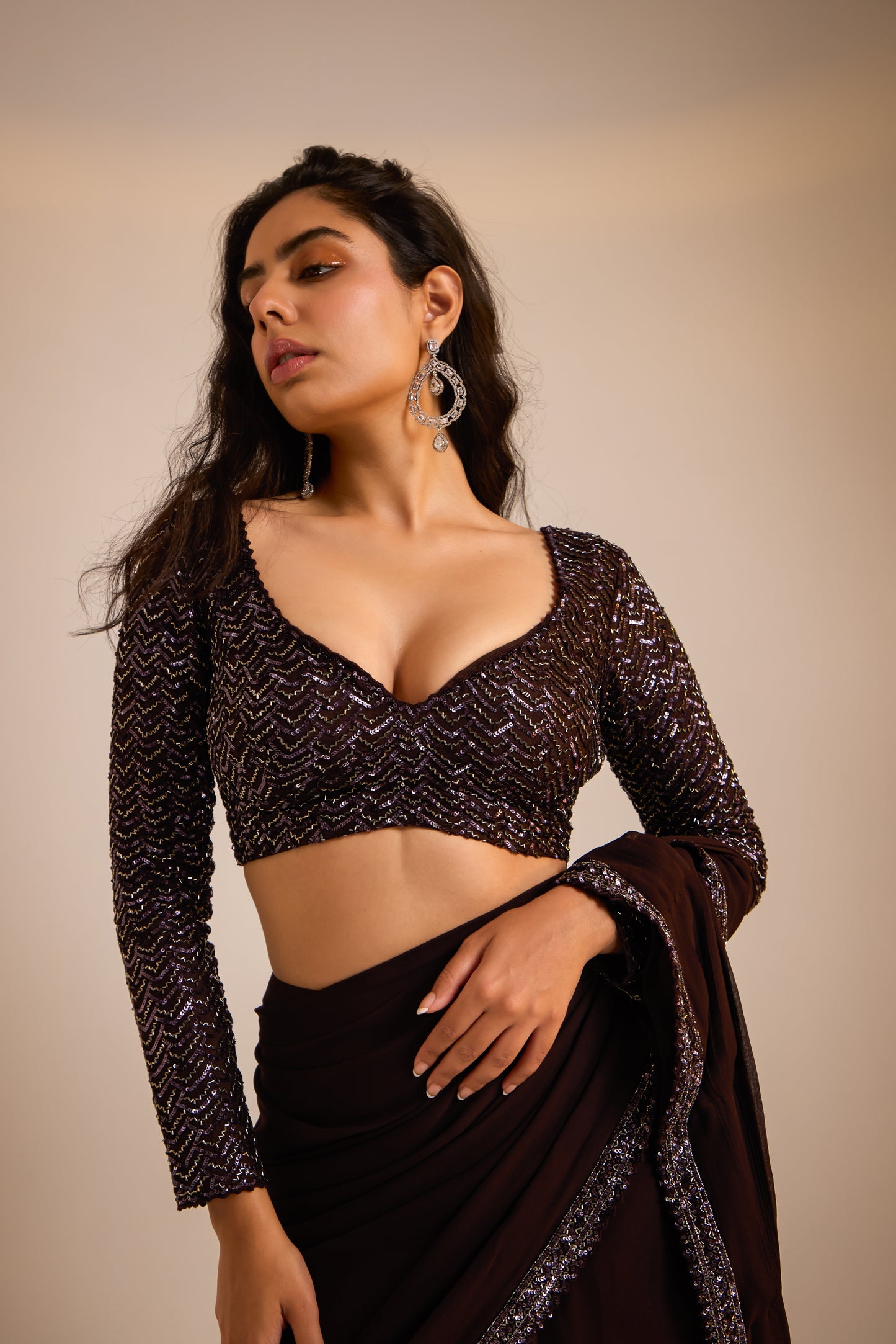 Embellished Pre Draped Saree