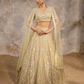 Pastel Yellow Bridal Lehenga Set for women