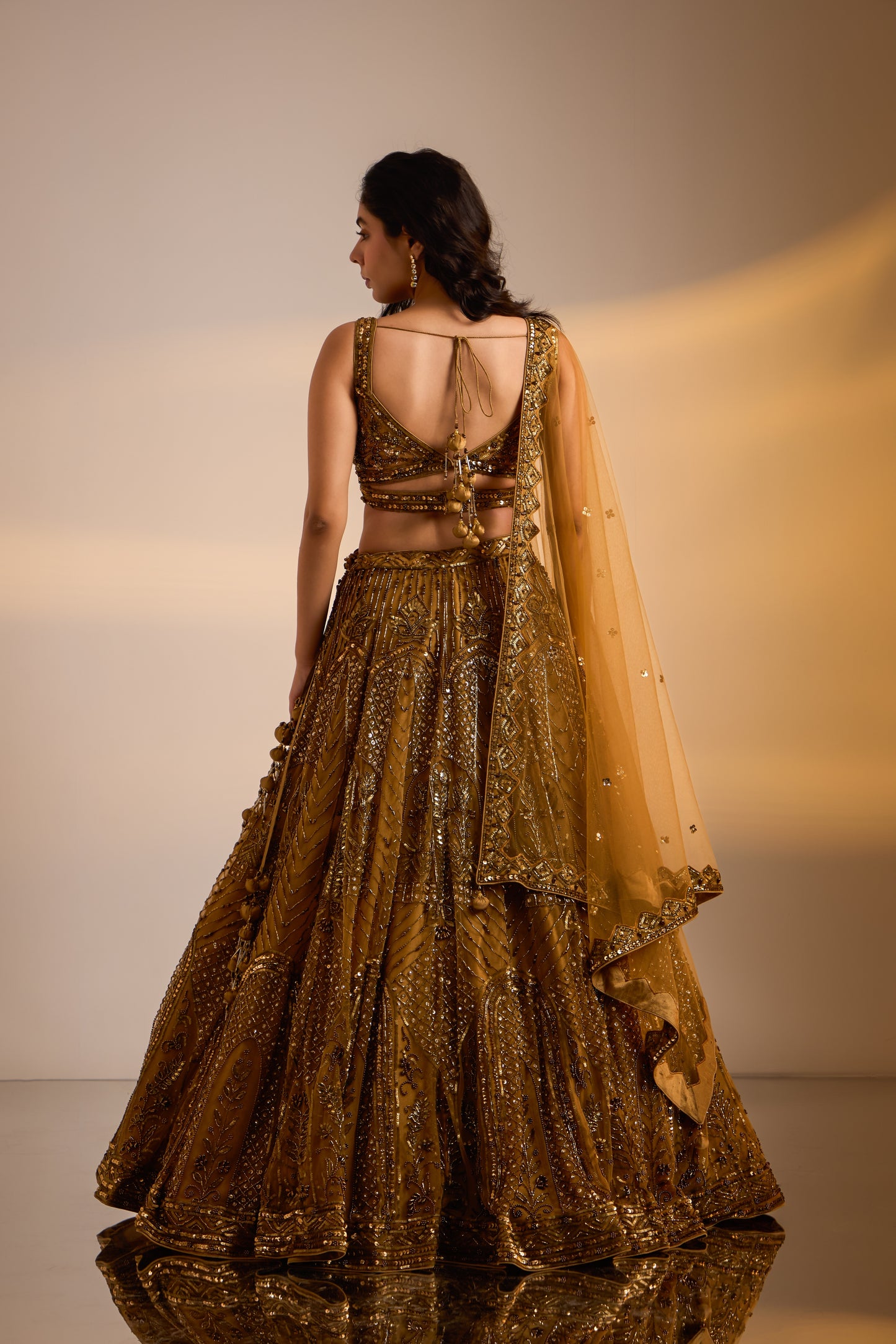 Embellished Lehenga set