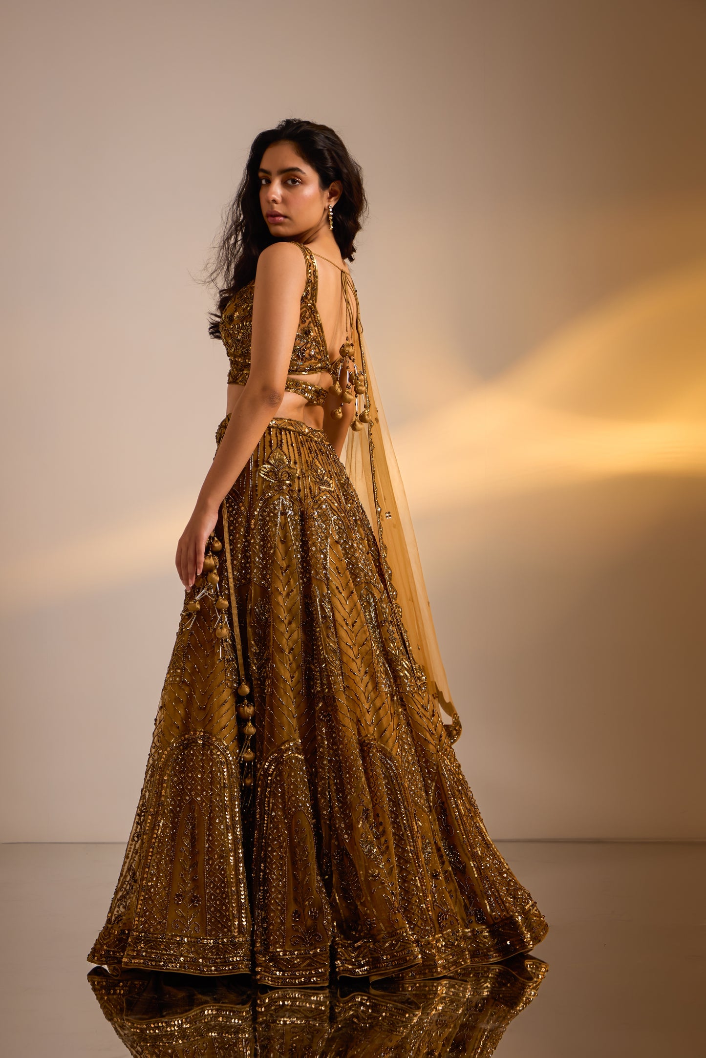Embellished Lehenga set