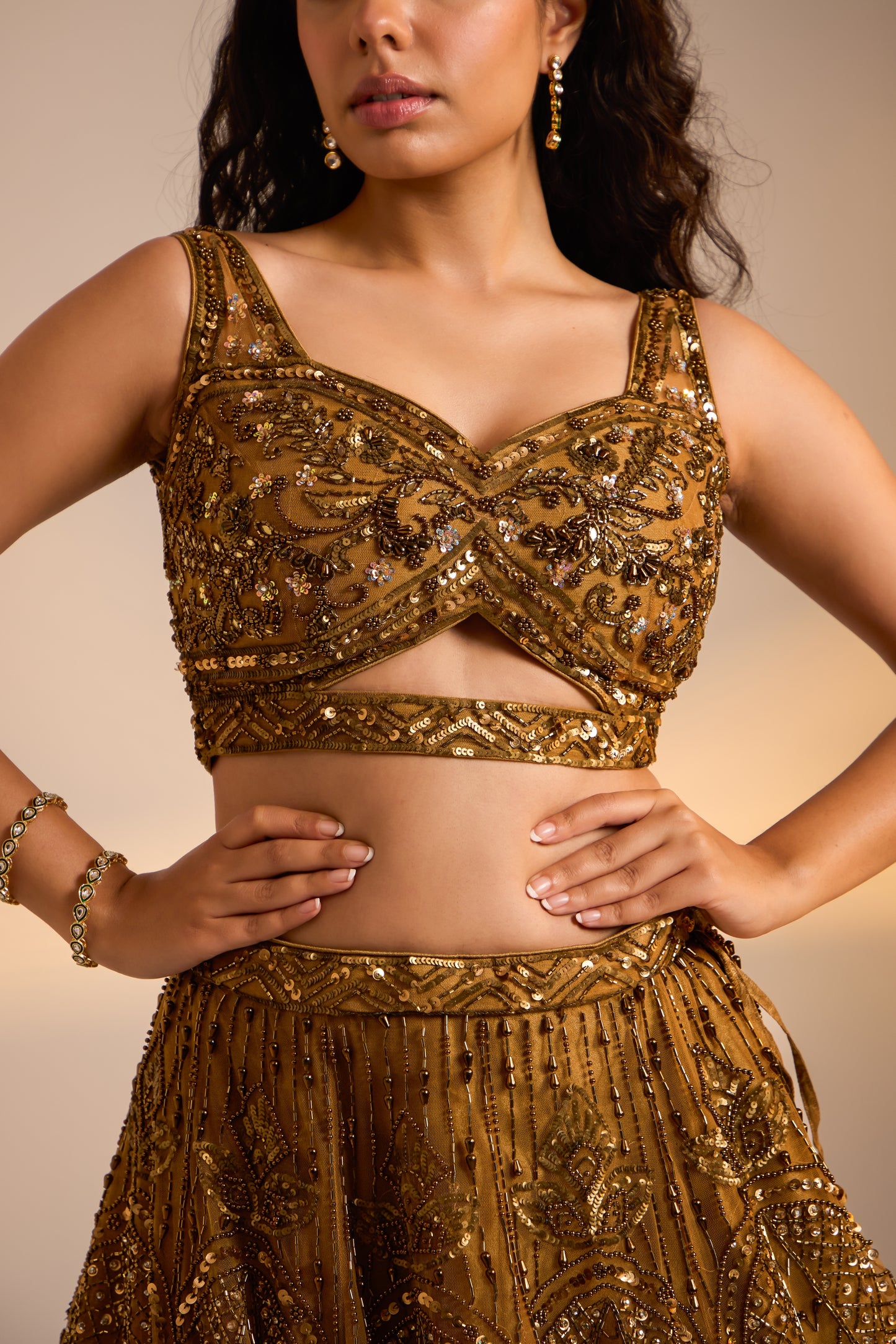 Embellished Lehenga set