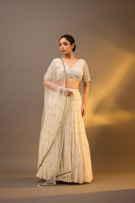 Embellished Lehenga Choli with Dupatta