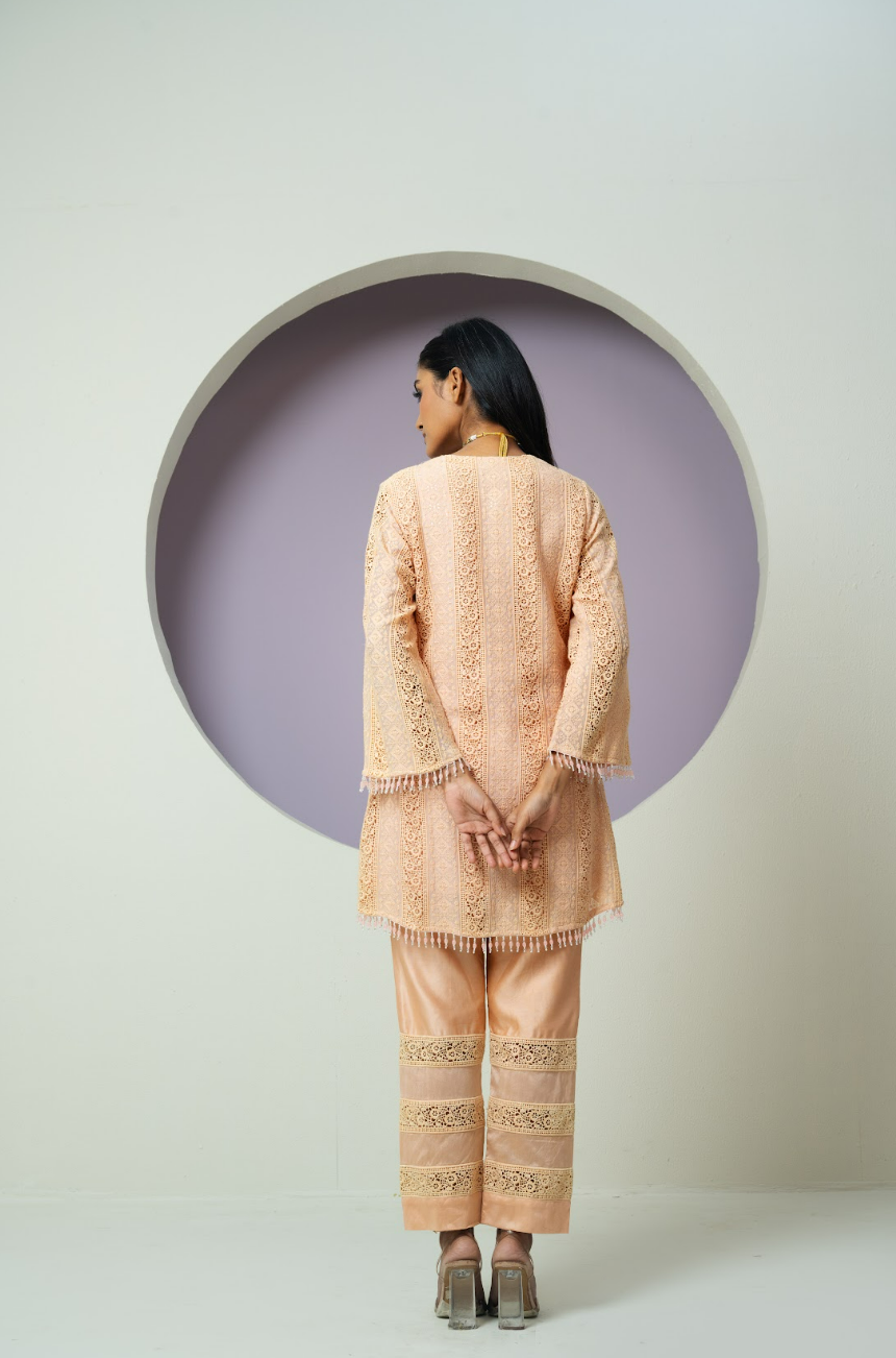 Chanderi Organza Threadwork Co-ord Set