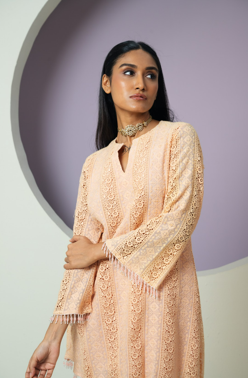 Chanderi Organza Threadwork Co-ord Set